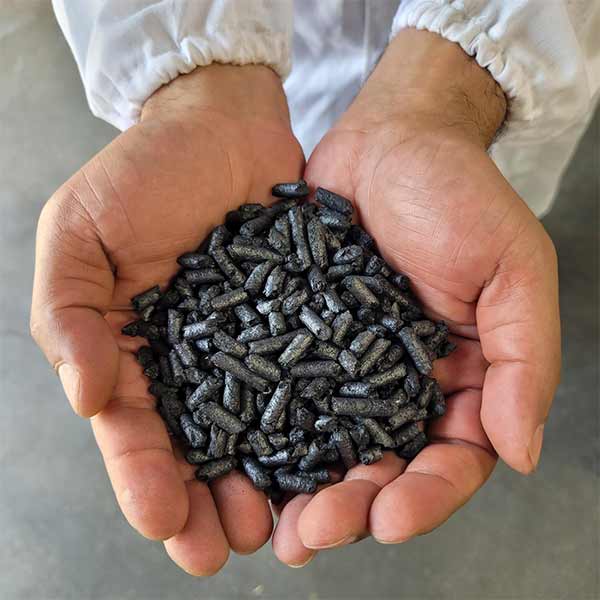 biochar in researcher's hands