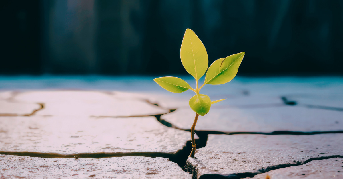 How to build tariff resiliency into your diversification strategy